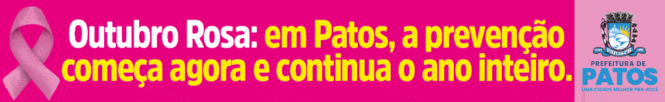 PMP 3